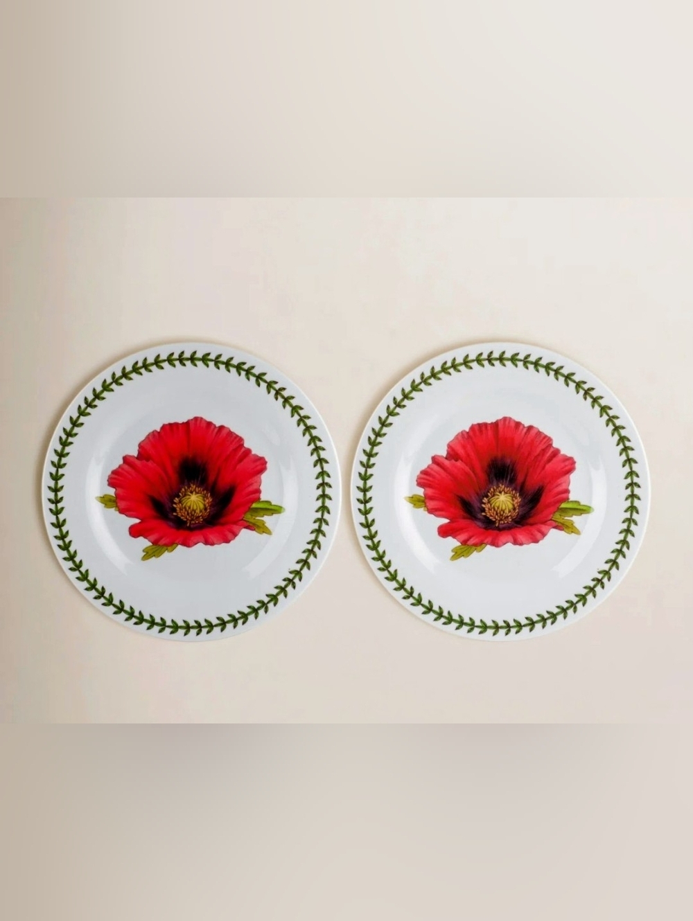 ❣️NIB BOTANIC SALAD PLATES - Picture 9 of 15